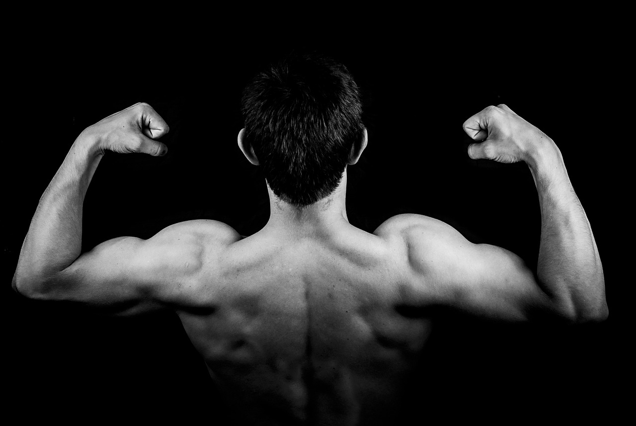 Read more about the article Building A Strong Back